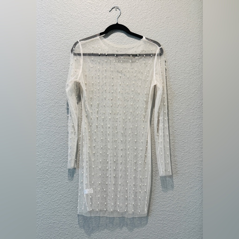 Chic Long Sleeve Sheer Dress